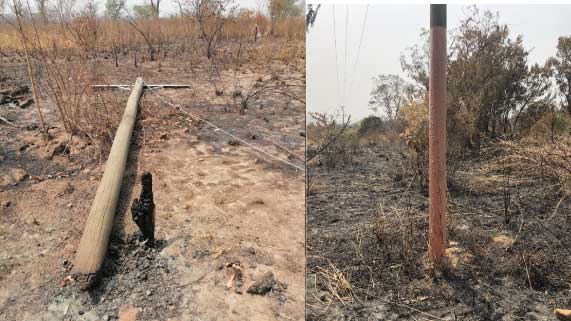 Electricity Company Ghana Limited — case study